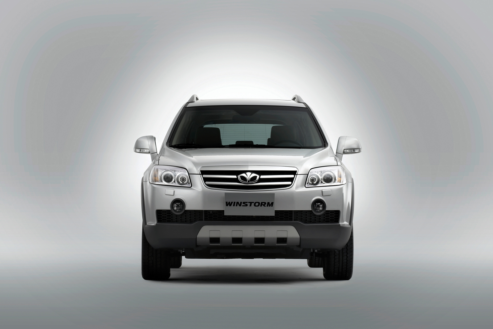 Daewoo GM Daewoo Winstorm MAXX