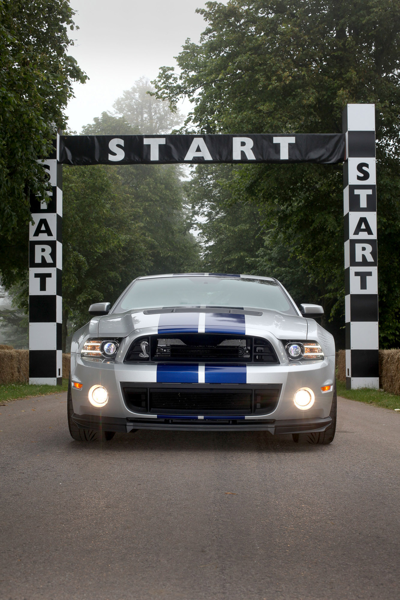 Ford Goodwood 2013 Ford Mustang Shelby GT500