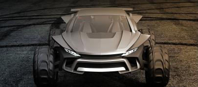 2014 Gray Design Sidewinder