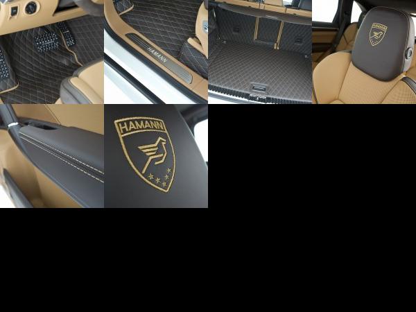 Hamann Guardian Evo Porsche Cayenne II (2011) - picture 25 of 30