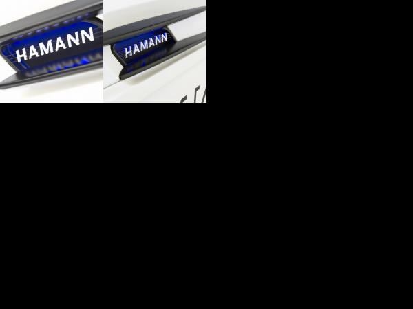 Hamann Hawk Mercedes SLS AMG White (2011) - picture 25 of 26
