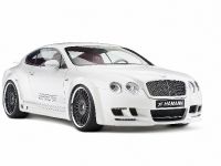 Hamann Bentley Continental GT Imperator (2009) - picture 7 of 34