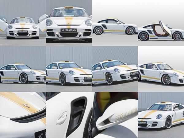 Hamann STALLION Porsche 911 Turbo (2008) - picture 1 of 34
