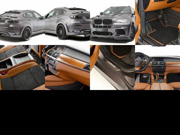 Hamann TYCOON EVO BMW X6 M (2011) - picture 13 of 20