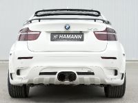 HAMANN BMW X6 TYCOON EVO (2009) - picture 2 of 32