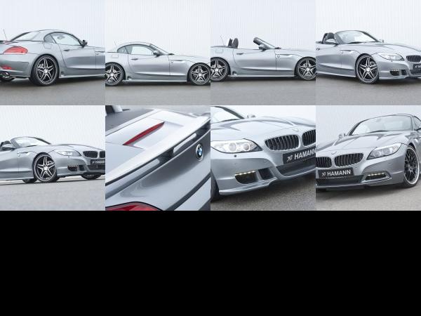 Hamann BMW Z4 sDrive35i (2010) - picture 13 of 20