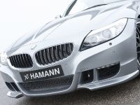 HAMANN BMW Z4 sDrive35i (2010) - picture 3 of 20