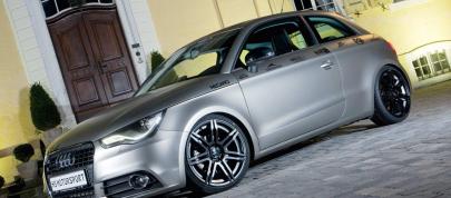 2010 HS MotorSport Audi A1