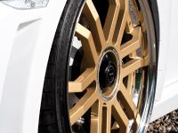 IMSA Lamborghini Gallardo LP 560 GTV (2009) - picture 4 of 24