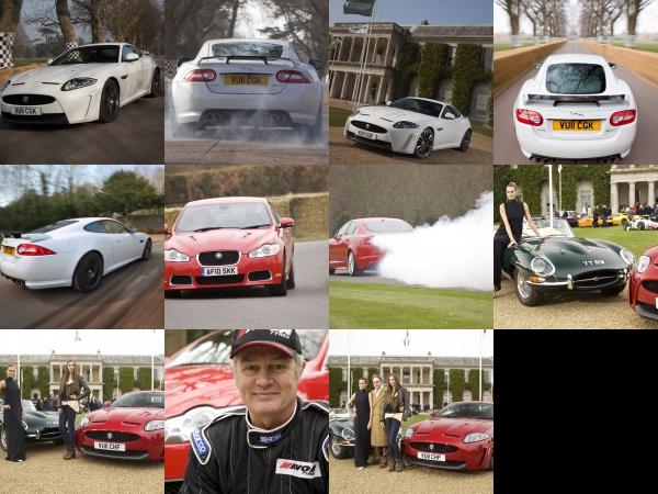 Goodwood Jaguar at the 2011 Goodwood Festival of Speed (2011) - picture 1 of 11