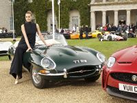 Jaguar at the 2011 Goodwood Festival of Speed (2011)