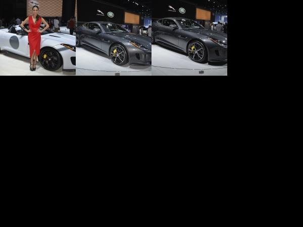 Los Angeles Jaguar F-TYPE Los Angeles 2014 (2014) - picture 1 of 3