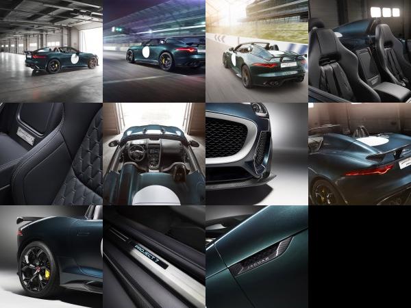 Jaguar F-TYPE Project 7 (2014) - picture 13 of 23
