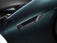 Jaguar F-TYPE Project 7 (2014)