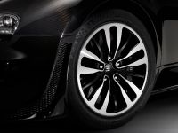 Jean Bugatti Veyron (2013)