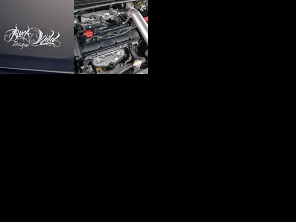 SEMA Kia Black Sinister Soul (2009) - picture 13 of 14