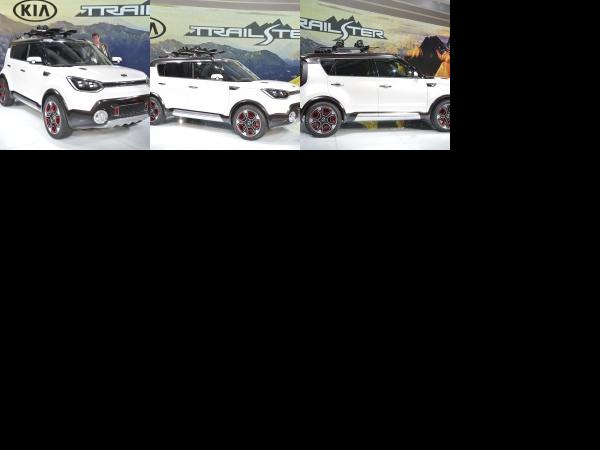 Chicago Kia Trailster Chicago 2015 (2015) - picture 1 of 3