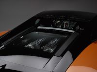 Lamborghini Gallardo LP 560-4 Bicolore (2011) - picture 6 of 10