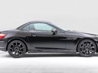 Lorinser Mercedes SLK-Class (2011)