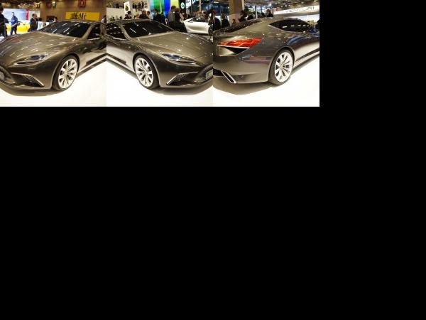 Paris Lotus Eterne Paris 2010 (2010) - picture 1 of 3