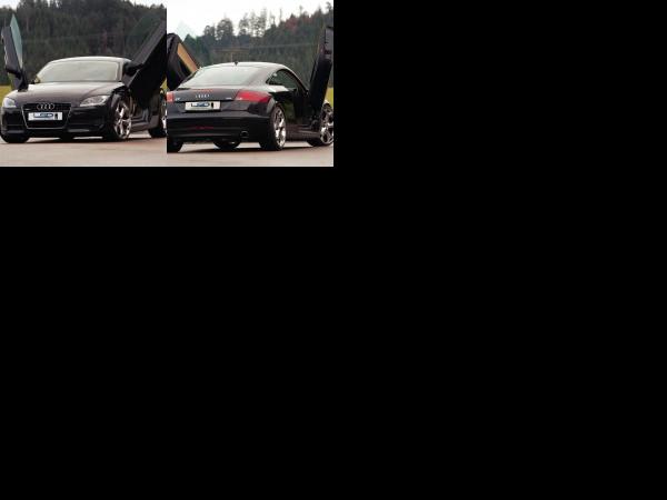 LSD Audi TT 8J (2007) - picture 1 of 2