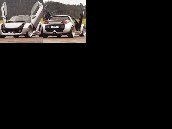 LSD Smart (2007) - picture 1 of 2