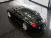 Mansory GT Speed (2009) - picture 4 of 10