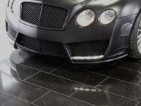 Mansory GT Speed (2009) - picture 5 of 10