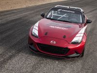 Mazda Global MX-5 Cup Racecar (2014) - picture 2 of 25