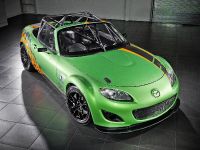 Mazda MX-5 GT Race Car (2011)