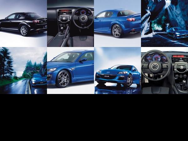 Mazda RX8 (2009) - picture 13 of 20