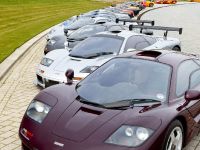 McLaren F1 Range (2010) - picture 2 of 9