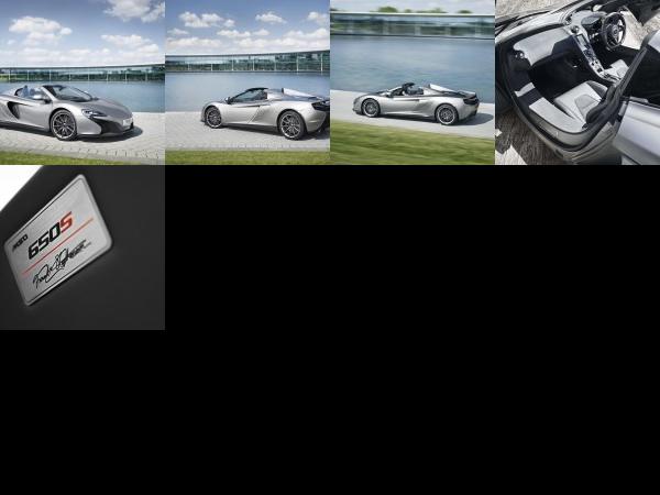 McLaren MSO 650S Spider Concept (2014) - picture 1 of 5