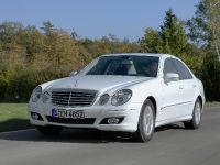 Mercedes-Benz E 300 BlueTEC (2009) - picture 6 of 8