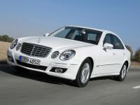 Mercedes-Benz E 300 BlueTEC (2009) - picture 7 of 8