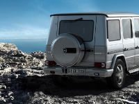 Mercedes-Benz G350 BlueTEC (2010)