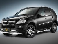 Mercedes-Benz M-Class Cobra Technology (2009) - picture 1 of 5