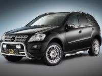 Mercedes-Benz M-Class Cobra Technology (2009) - picture 3 of 5