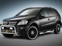 Mercedes-Benz M-Class Cobra Technology (2009) - picture 4 of 5