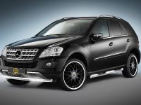 Mercedes-Benz M-Class Cobra Technology (2009) - picture 5 of 5