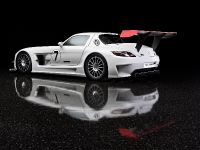 Mercedes-Benz SLS AMG GT3 (2010) - picture 1 of 16