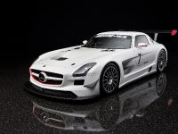 Mercedes-Benz SLS AMG GT3 (2010) - picture 5 of 16