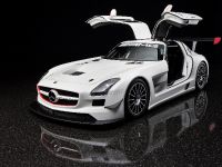 Mercedes-Benz SLS AMG GT3 (2010) - picture 6 of 16