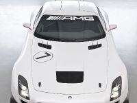Mercedes-Benz SLS AMG GT3 (2010) - picture 8 of 16