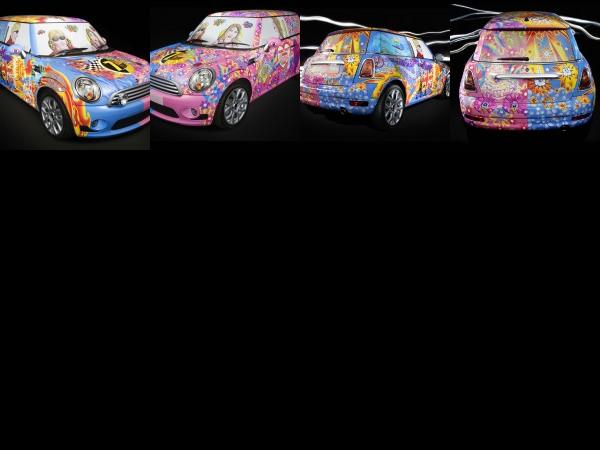 MINI Aldridge Special (2008) - picture 1 of 4