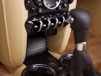 MINI INSPIRED BY GOODWOOD (2011) - picture 7 of 20