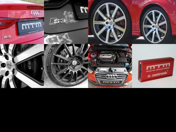 MTM Audi S3 2.0 TFSI quattro (2014) - picture 13 of 20