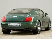 mtm Bentley Continental GT Birkin Edition (2009) - picture 3 of 6