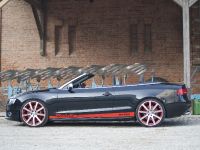 MTM Audi S5 Cabrio Michelle Edition (2009)