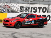 Ford Mustang 1000 Lap Challenge (2010) - picture 7 of 9